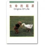 Origins of Life.jpg